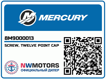 SCREW, TWELVE POINT CAP Аватар