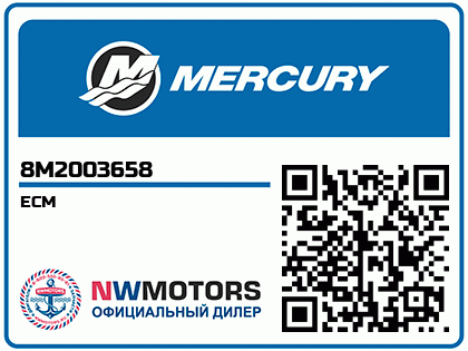 ECM Аватар