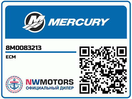 ECM Аватар