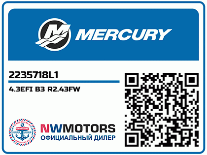 4.3EFI B3 R2.43FW Аватар