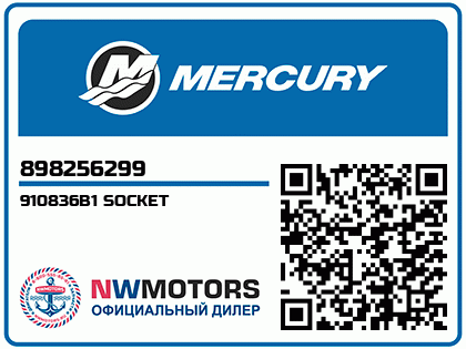 910836B1 SOCKET