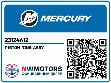 PISTON RING ASSY