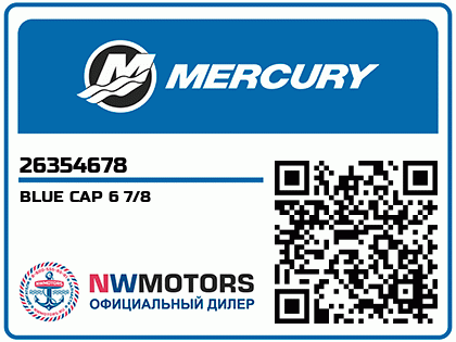 BLUE CAP 6 7/8 Аватар