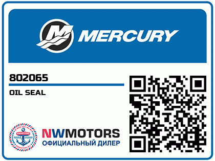 OIL SEAL