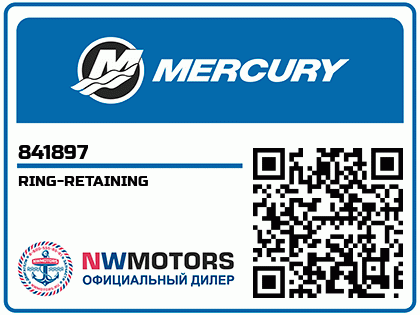 RING-RETAINING Аватар