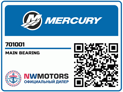 MAIN BEARING