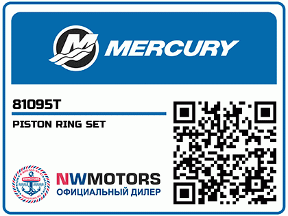 PISTON RING SET