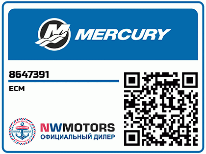 ECM Аватар