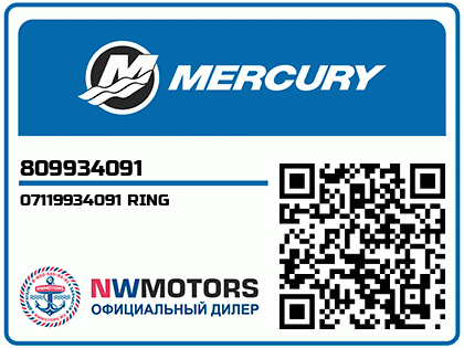 07119934091 RING Аватар