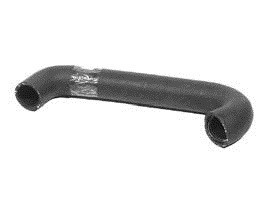 HOSE Аватар